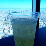 SKY GARDEN 300 - ハイボール