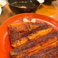 吉寅 -  吉寅 -
