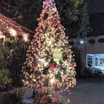 Cabbages & Condoms - 