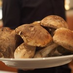 アルベロ ネロ - フレッシュポルチーノ