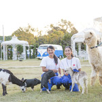 カフェ・スコーラ - 屋外には動物もたくさん