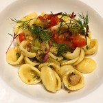 Propeller - 