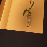 福島 もう利 - 
