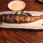 賀茂鶴 - イワシ