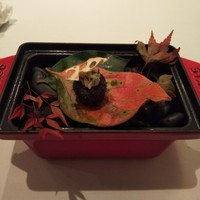 レザンファン ギャテ - アミューズ。蓮根コロッケ