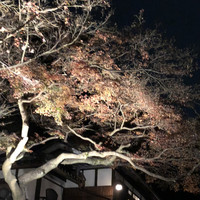 明治の森箕面 音羽山荘 - 