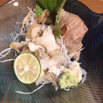 Sennari Zushi - 