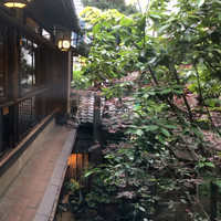 明神下 神田川 本店 - 二階から中庭を望む
