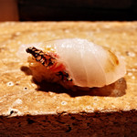 Sushi ayase - 