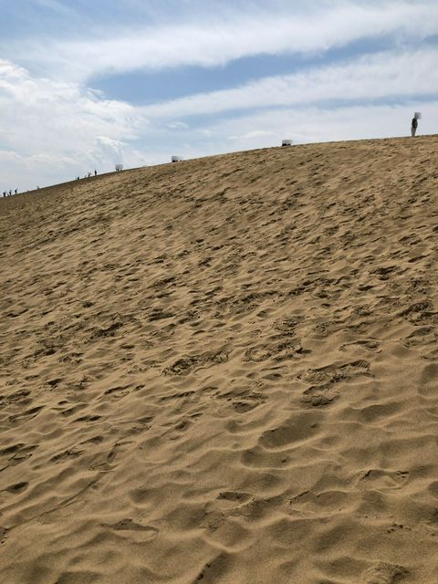 鳥取県鳥取市 日本第２位の規模を誇る鳥取砂丘に隣接するお店 らくだや 梨ソフト By Mizu4090 らくだや 鳥取市その他 アイスクリーム 食べログ