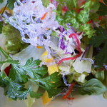 ビストロ セレニテ - 