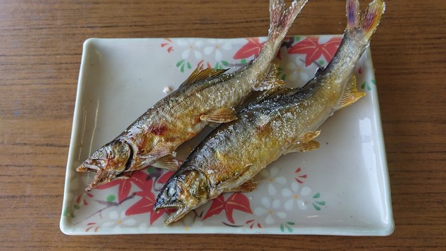 大瀬観光やな 茂木町その他 和食 その他 食べログ 大瀬観光やな 茂木町その他 和食 その他 食べログ