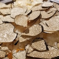 馳走 啐啄一十  - (23)夏トリュフご飯(プレーン)、ずわい蟹入り、初イクラ掛け
                    このレシピの原形は30年前(バブルの頃)にTV企画で渡伊した時、イタリアンを食べ飽きたスタッフの為に遊び心で作ったものだそう