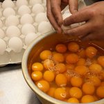 カステラ文 - 近隣の朝採りの鶏卵を使用しています。