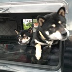 ピッザピッザピッザ - 