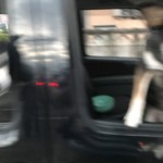 ピッザピッザピッザ - 