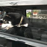 ピッザピッザピッザ - 