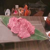 SATOブリアン 本店 - 