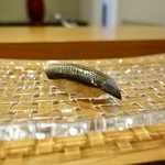 ［2019/08］寿司① こはだの握り