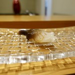 群来膳 - ［2019/08］寿司⑤ ほっきの握り