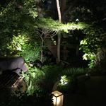 蔵の料亭 さかばやし - 食後の庭２