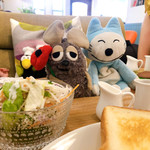 ラステン アイカ - 