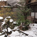 オジーノカリーヤ - 