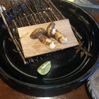 横浜瀬里奈 ステーキドーム - 