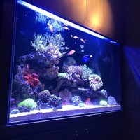 キュイジーヌ 福の舞 北新地店 - 