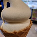 湯田中温泉プリン本舗 - 