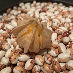 朗 長谷川稔Lab - 