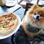 ヨコマチテラス - 【2019.09】B・本日のピザランチの今週のピザ(明太子とドライトマト、きのこのピザ)