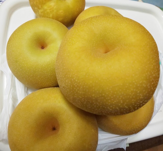 八右衛門 - 南鳥海（その他）の写真