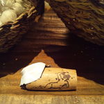 シェーナ - (2012.02)　プチ･シャブリのコルク（＾＾）