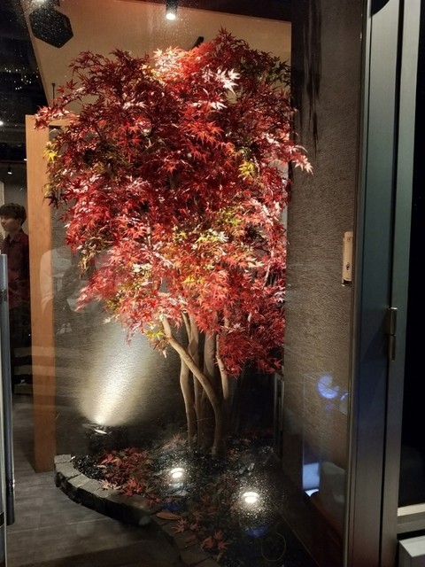 地鶏 鮮魚 個室居酒屋 もみじ屋 デックス東京ビーチ店 お台場海浜公園 居酒屋 ネット予約可 食べログ 地鶏 鮮魚 個室居酒屋 もみじ屋 デックス東京ビーチ店 お台場海浜公園 居酒屋 ネット予約可 食べログ