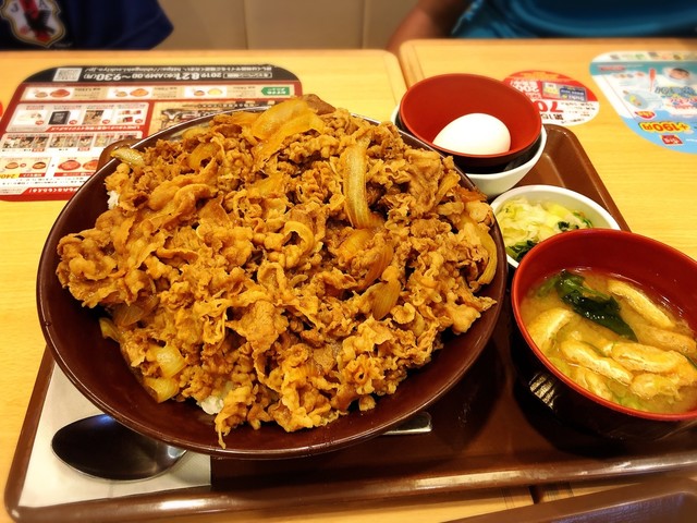 ☆すき家 金の丼 すき家 金の丼 金の箸 限定品【ARRABBIATA】丼