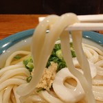 Sanuki Udon Nora Bo- - 麺アップ