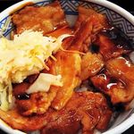 吉野家 戸塚旭町通店 - 豚丼　十勝仕立て　並　380円