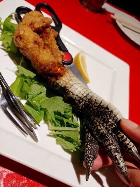 成人ワニの手一本揚げ他 珍獣屋 横浜市中区 桜木町 By Tamagooo 珍獣屋 桜木町 居酒屋 食べログ 成人ワニの手一本揚げ他 珍獣屋 横浜市中区 桜木町 By Tamagooo 珍獣屋 桜木町 居酒屋 食べログ