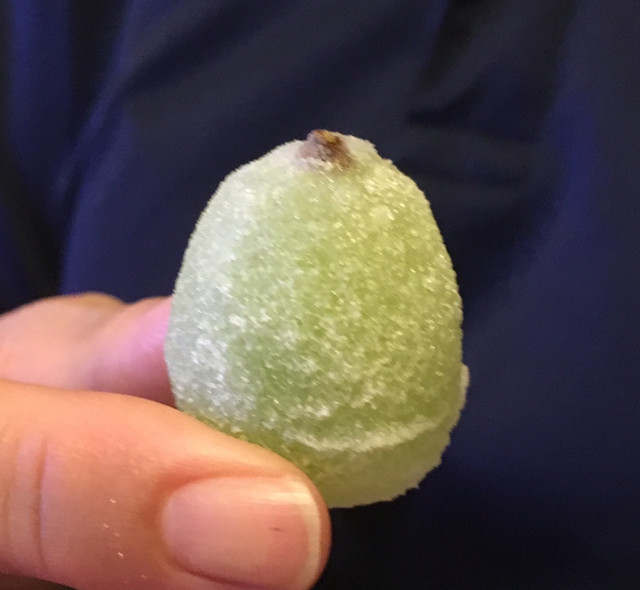 Shunka Shunsai Kyorakudo Hiroshima Sanshin Ten photo 3