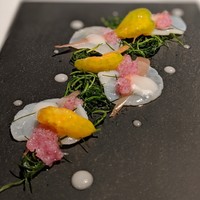 レフェルヴェソンス - 