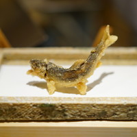 日本橋 蕎ノ字 - 