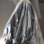 とだがわ陽だまり館 - 