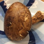 割烹 やました - まったけ