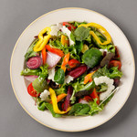 Colorful farm vegetable salad