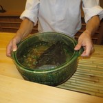 片折 - 生きている、元気な鮎