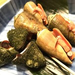 土佐武