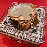 Grilled Crab Miso Shell