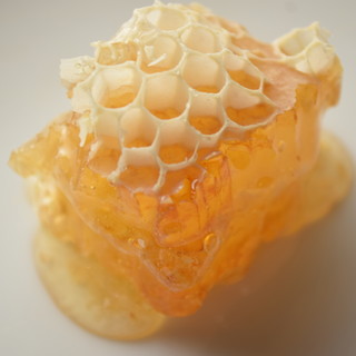 “Chojamachi Honey” honey menu now available!