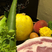 オッジ ダルマット 西麻布店 - そうめんカボチャって綺麗でかわいい。